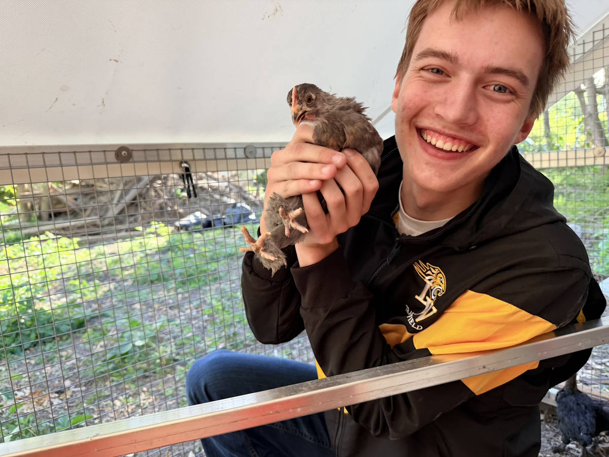 Cuddling with a young Black Copper Maran at Honeybutter Farm